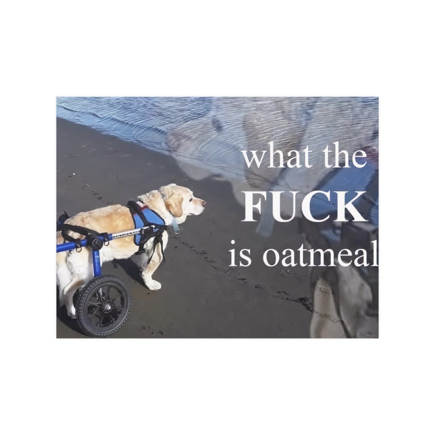 What The Fck Is Oatmeal Meme Poster.