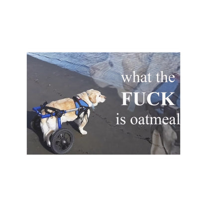 What The Fck Is Oatmeal Meme Poster.