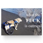 8.99 What The Fuck Is Oatmeal Meme Poster - coreprints coreprints What The Fuck Is Oatmeal Meme Poster 