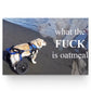 8.99 What The Fuck Is Oatmeal Meme Poster - coreprints coreprints What The Fuck Is Oatmeal Meme Poster 